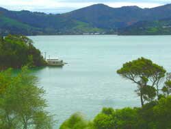 Boat-Shed-view