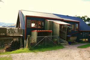 Backpackers Lodge