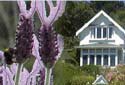 Otago Peninsula Trust Logo