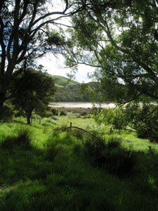 View from Kingfisher