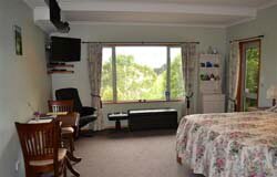 View from your Bedroom