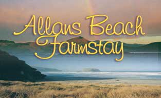 Allans Beach