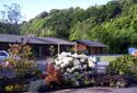 Leith Valley Touring Park